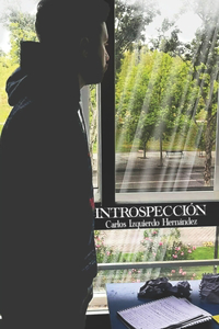 Introspección