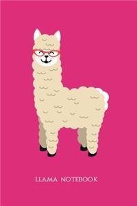 Llama Notebook