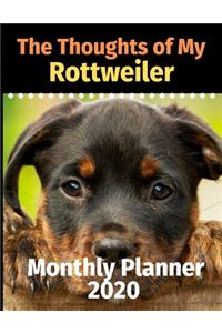The Thoughts of My Rottweiler