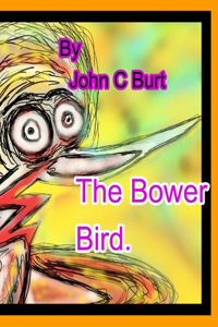 The Bower Bird.