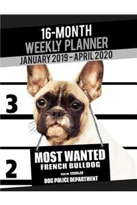 2019-2020 Weekly Planner - Most Wanted French Bulldog (French Bull Dog)