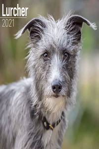 Lurcher 2021 Wall Calendar