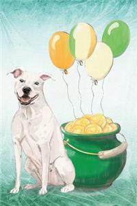 American Staffordshire Terrier
