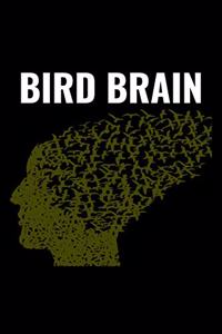 Bird Brain