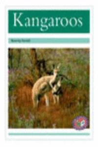 Kangaroos PM Non Fiction Level 18&19 Turquoise: Animal Facts Animals in the Wild