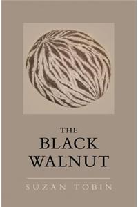 Black Walnut