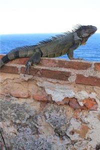 Cool Iguana on the Wall Journal