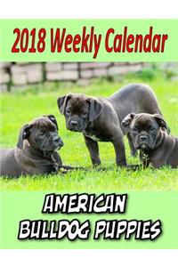 2018 Weekly Calendar American Bulldog Puppies