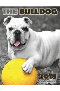 The Bulldog 2018 Calendar