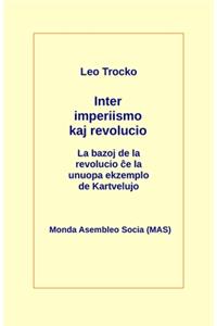 Inter Imperiismo Kaj Revolucio