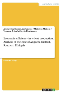 Economic efficiency in wheat production. Analysis of the case of Angecha District, Southern Ethiopia