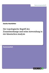 Der topologische Begriff des Zusammenhangs und seine Anwendung in der klassischen Analysis