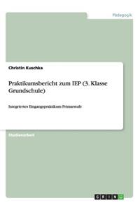 Praktikumsbericht zum IEP (3. Klasse Grundschule)