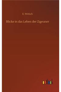 Blicke in das Leben der Zigeuner