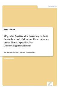 Mögliche Ansätze der Zusammenarbeit deutscher und türkischer Unternehmen unter Einsatz spezifischer Controllinginstrumente