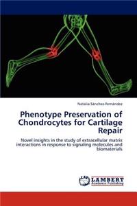 Phenotype Preservation of Chondrocytes for Cartilage Repair