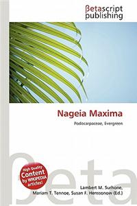 Nageia Maxima