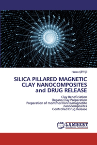 SILICA PILLARED MAGNETIC CLAY NANOCOMPOSITES and DRUG RELEASE