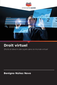Droit virtuel