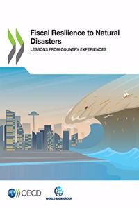 Fiscal Resilience to Natural Disasters