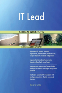 IT Lead Critical Questions Skills Assessment