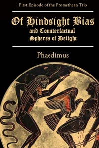 Of Hindsight Bias and Counterfactual Spheres of Delight