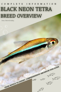 Black Neon Tetra