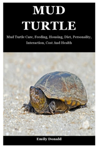 Mud Turtle