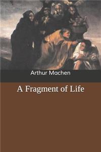 A Fragment of Life
