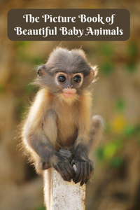 The Picture Book of Beautiful Baby Animals