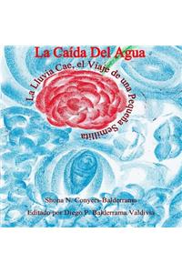 La Caída Del Agua La Lluvia Cae, el Viaje de una Pequeña Semillita