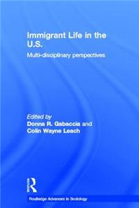 Immigrant Life in the US