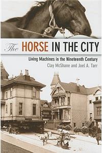 Horse in the City