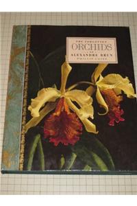 The Forgotten Orchids Of Alexandre Brun