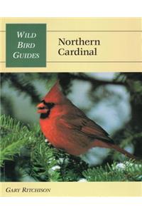 Wild Bird Guide: Northern Cardinal