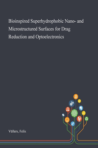 Bioinspired Superhydrophobic Nano- and Microstructured Surfaces for Drag Reduction and Optoelectronics