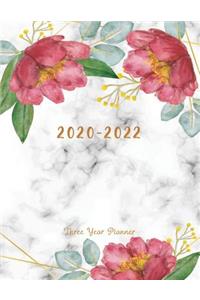 Three Year Planner 2020-2022