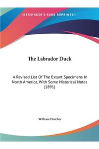 The Labrador Duck