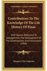 Contributions to the Knowledge of the Life History of Pinus