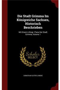 Die Stadt Grimma Im Königreiche Sachsen, Historisch Beschrieben