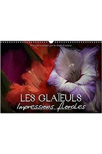 Glaieuls Impressions Florales 2017