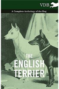 English Terrier - A Complete Anthology of the Dog