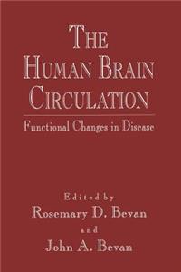 Human Brain Circulation