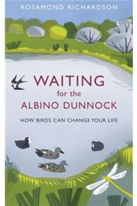 Waiting for the Albino Dunnock