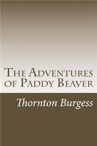 Adventures of Paddy Beaver