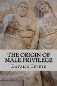 Origin of Male Privilege