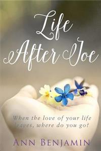 Life After Joe