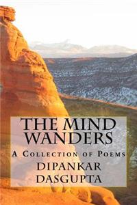 Mind Wanders