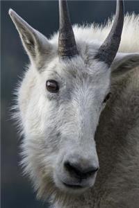 Mountain Goat Animal Journal