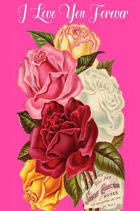 I Love You Forever